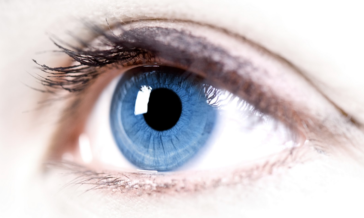 Diabetes and Your Eyes. What Every Diabetic Should Know!